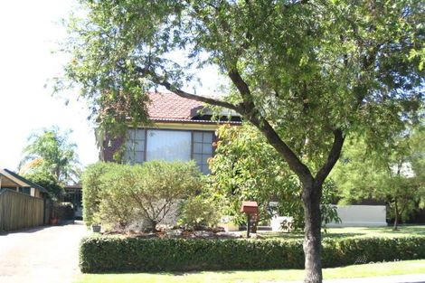 25 Melville St, Ashbury, NSW 2193