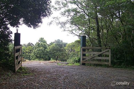 418 Lyrebird Ridge Rd, Springbrook, QLD 4213