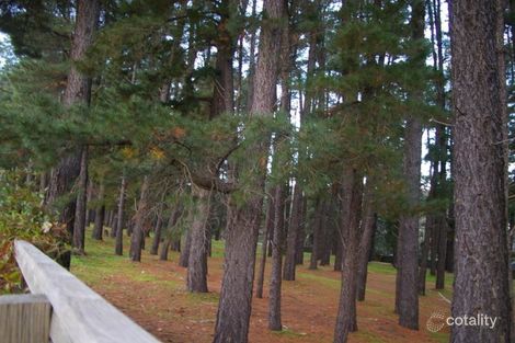 Property photo of 42B Pine Drive Aberfoyle Park SA 5159