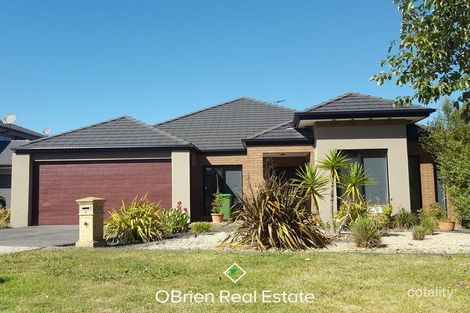 4 Bittern Link, Pakenham, VIC 3810