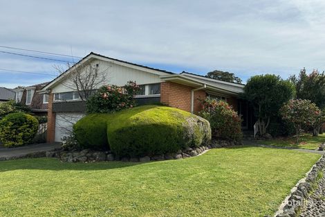 Property photo of 59 William Street Mount Waverley VIC 3149