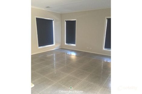 Property photo of 6 Elmtree Crescent Clyde North VIC 3978