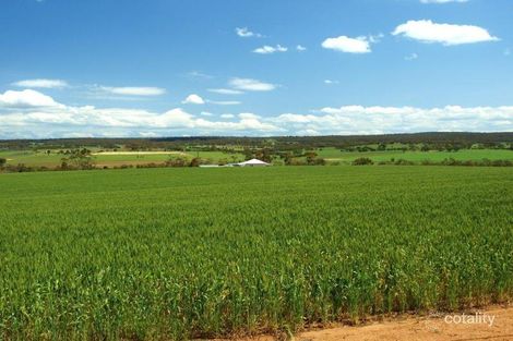 Property photo of 949 Wongamine Road Wongamine WA 6401