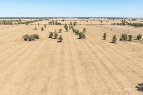 153 Balldale-Coreen Rd, Coreen, NSW 2646