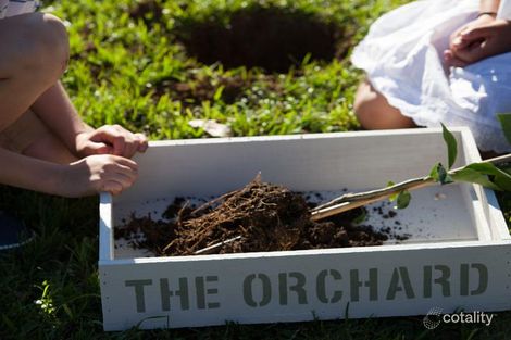 11 Pomelo St, Jensen, QLD 4818