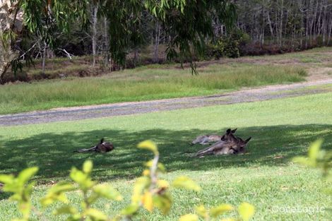 Property photo of 285/192 Piggabeen Road Tweed Heads West NSW 2485
