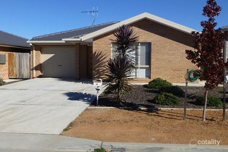 17 Shedden St, Casey, ACT 2913