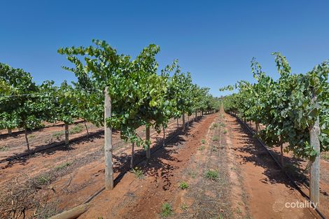 Lot 2 Buloke St, Red Cliffs, VIC 3496
