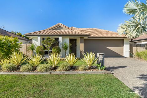 Property photo of 17 Marsalis Street Sippy Downs QLD 4556