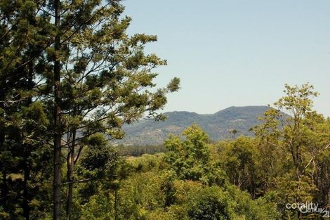 Property photo of 24 Solar Road Eumundi QLD 4562