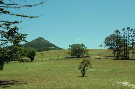 Property photo of 24 Solar Road Eumundi QLD 4562