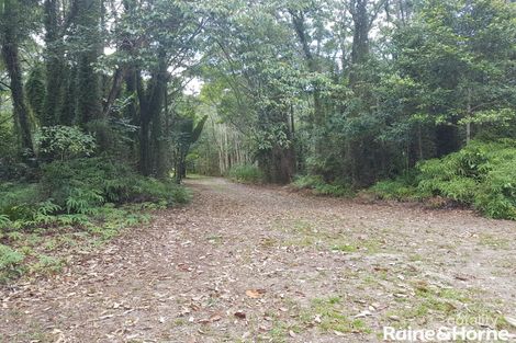 Property photo of 65 Thornton Peak Drive Forest Creek QLD 4873