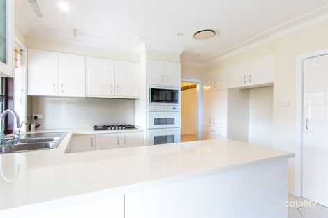 Property photo of 162 Elermore Parade Wallsend NSW 2287