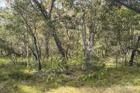 Property photo of 20 Ranch Park Drive Pacific Haven QLD 4659