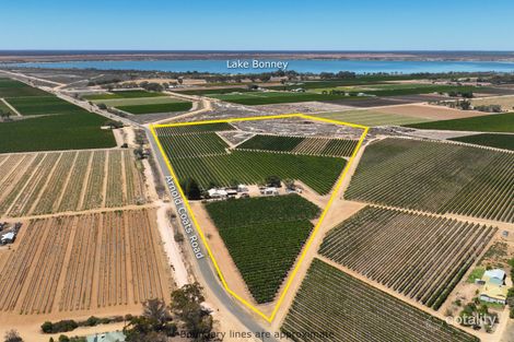 Property photo of 144 Arnold Coats Road Cobdogla SA 5346