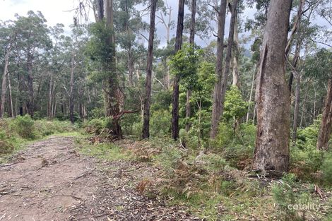 783 Jumbuk Rd, Jeeralang Junction, VIC 3840