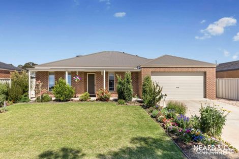 Property photo of 15 Oneill Court Epsom VIC 3551