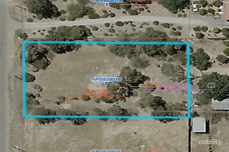 67 Robertson St, Nathalia, VIC 3638