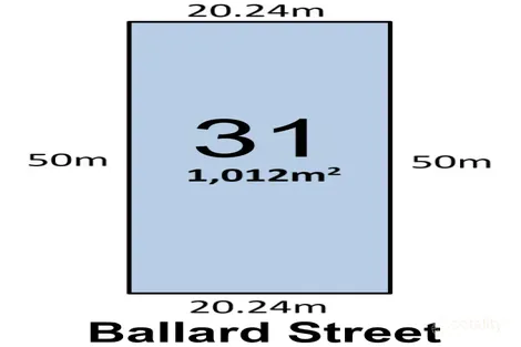 31 Ballard St, Menzies, WA 6436