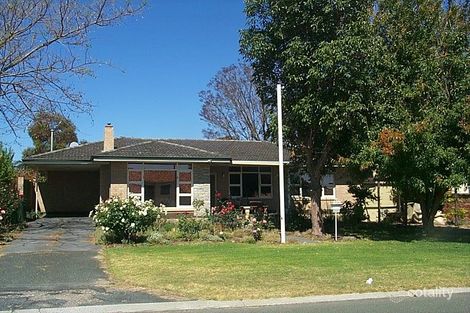 142 Moulden Ave, Yokine, WA 6060