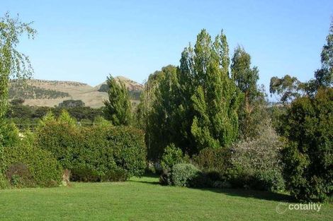 Property photo of 89 Bowen Street Camperdown VIC 3260