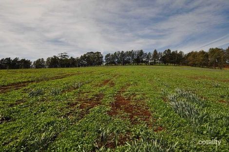 Property photo of 311 Ure Road Gembrook VIC 3783