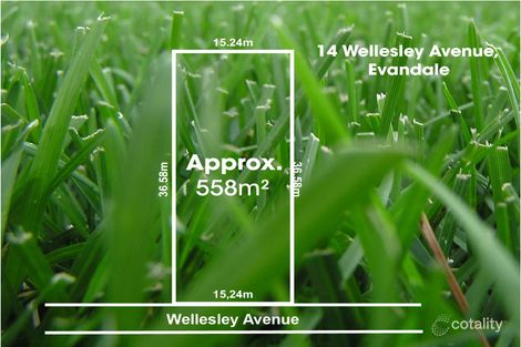 Property photo of 14 Wellesley Avenue Evandale SA 5069