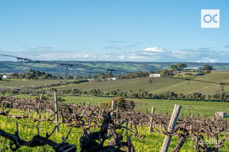Property photo of 44 Olivers Road McLaren Vale SA 5171