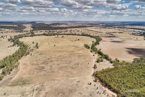 302l Dunedoo Rd, Ballimore, NSW 2830