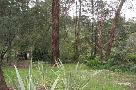 Property photo of 7A Braeside Avenue Sherbrooke VIC 3789