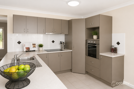 Property photo of 20 Patsy Crescent Redbank Plains QLD 4301