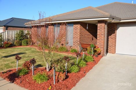 Property photo of 20 Kerang Avenue Kialla VIC 3631