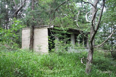 784 Doon Doon Rd, Doon Doon, NSW 2484