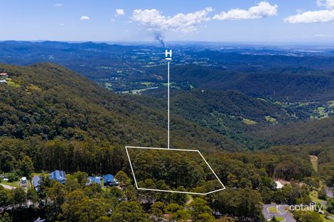 Property photo of 35 Hellfire Pass Lower Beechmont QLD 4211