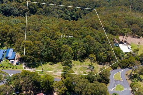 Property photo of 35 Hellfire Pass Lower Beechmont QLD 4211