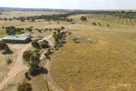 813 Wongamine Rd, Wongamine, WA 6401