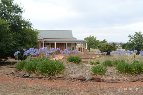 7788 Milvale Rd, Temora, NSW 2666