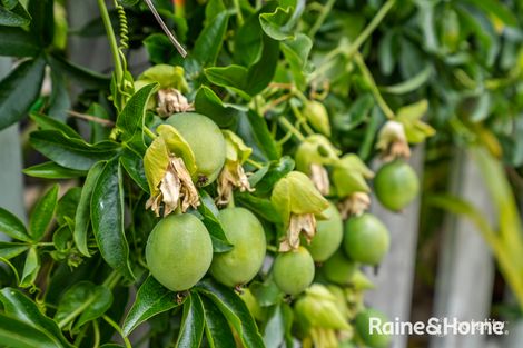 Property photo of 33 Vicary Street Triabunna TAS 7190