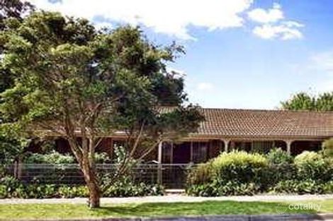 Property photo of 63 Williams Road Blackburn VIC 3130