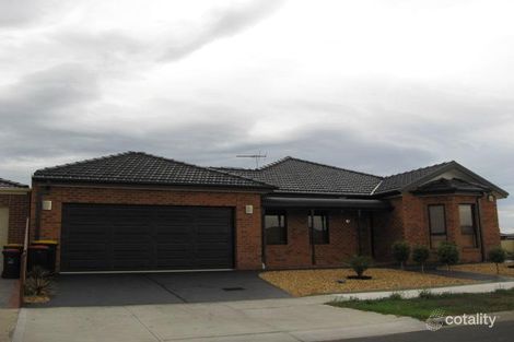 3/211 Powlett St, East Melbourne, VIC 3002