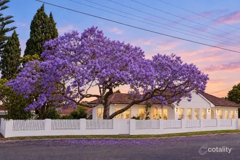 Property photo of 5 Palmer Crescent Bexley NSW 2207