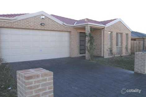Property photo of 16 Petersilka Street Gungahlin ACT 2912
