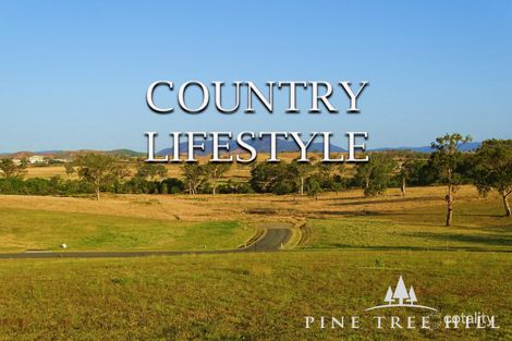 Property photo of 14 Pine Tree Drive Winya QLD 4515