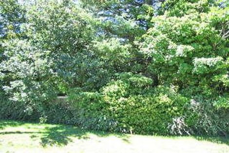 52-54 Leura Mall, Leura, NSW 2780