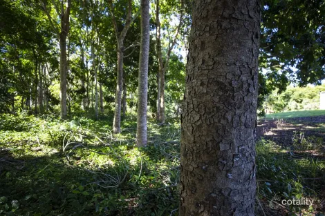 Property photo of 136 Zunkers Road Hampden QLD 4741