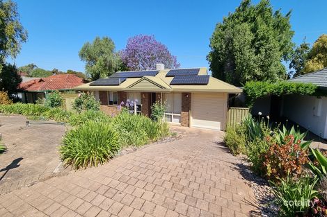Property photo of 11 Elura Avenue Sheidow Park SA 5158