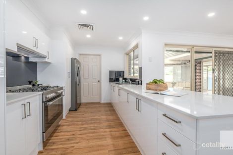Property photo of 11 Olearia Crescent Warabrook NSW 2304