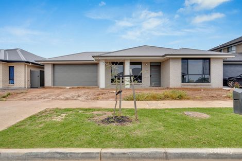 Property photo of 17 Marchant Trail Riverlea Park SA 5120