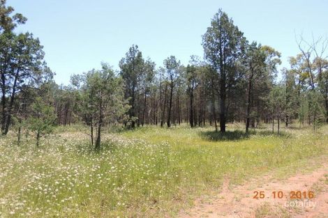 74 Hotchkiss Rd, Baradine, NSW 2396