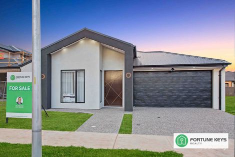 34 Pedra Ave, Tarneit, VIC 3029